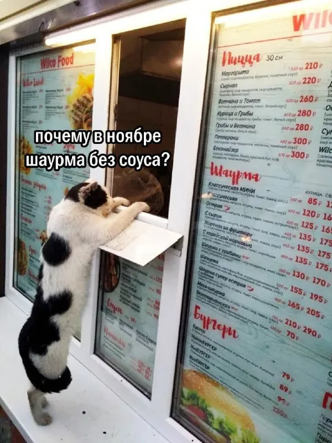 Шаурма без соуса в ноябре