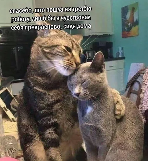 Спасибо, что пошла на работу