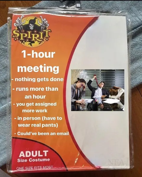 One-Hour Meeting Adult Costume
