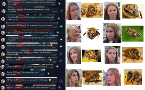 Сначала цветы, потом посмотрим