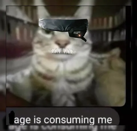 Rage Is Consuming Me Cat