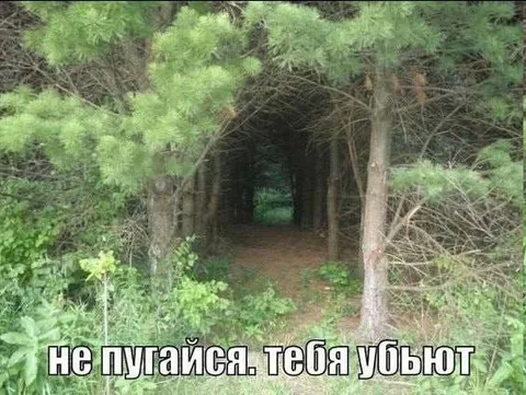 Не пугайся, тебя убьют