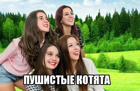 Пушистые котята
