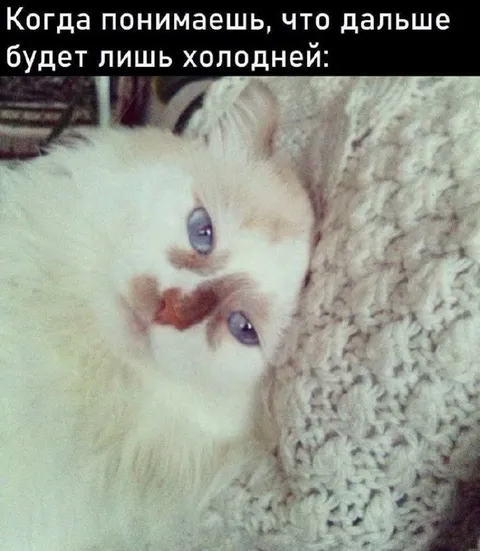 Дальше будет лишь холодней