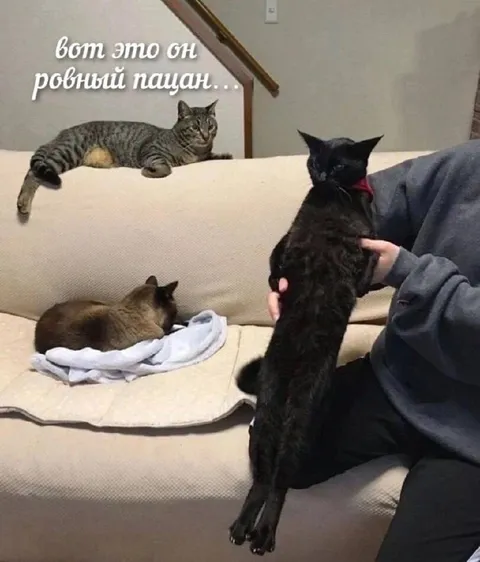 Вот это ровный пацан