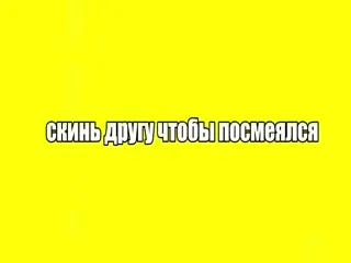 Топ 3 шуток про хантавирус