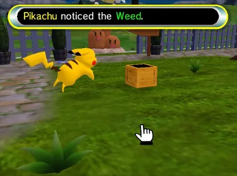 Pikachu Notices the Weed