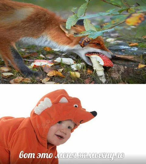 Вот это меня жмыхнуло