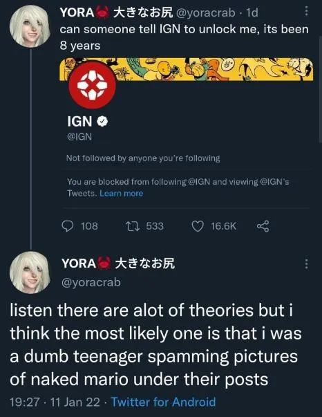 IGN Blocked Me for Naked Mario