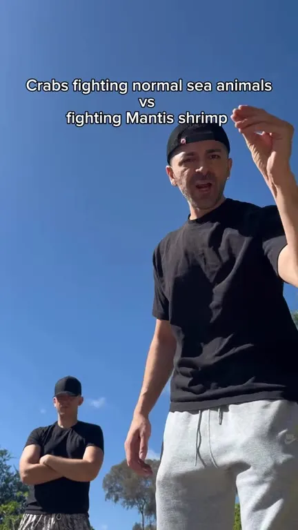 Crabs Fight the Mantis Shrimp