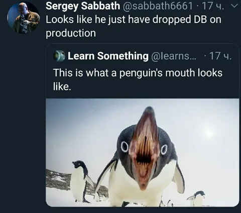 Penguin Mouth Looks Like This