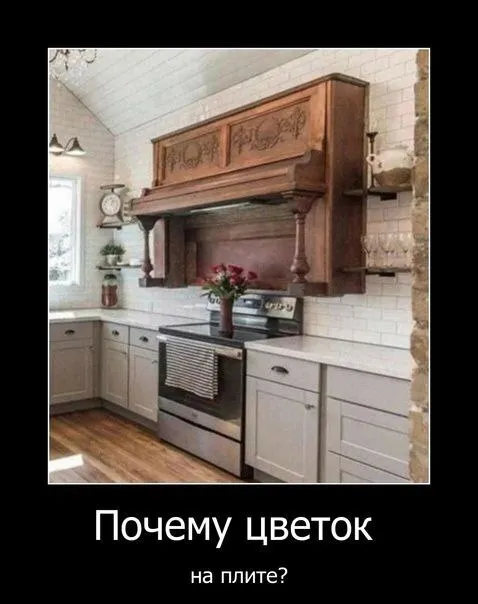 Почему цветок на плите