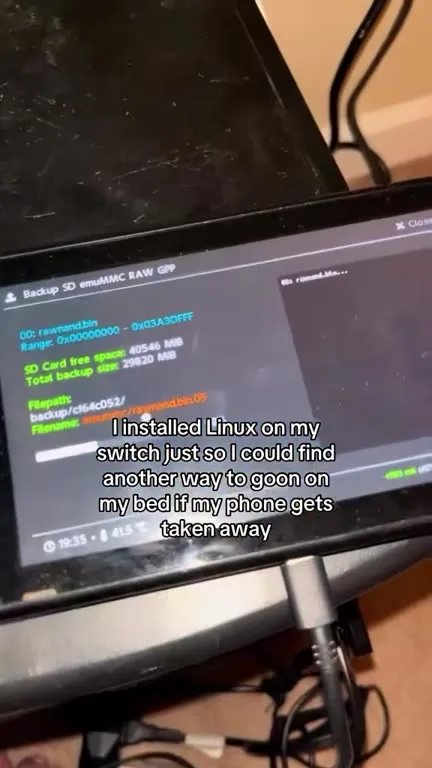 Linux on a Switch After Phone Confiscation