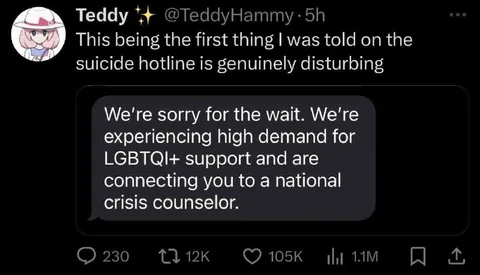 Suicide Hotline High Demand