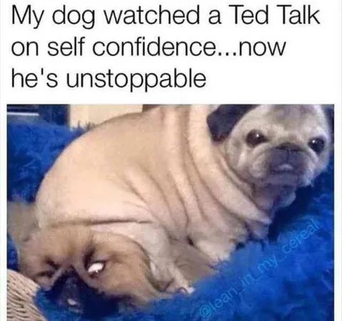 Confident Dog After TED Talk