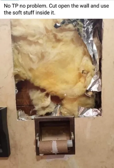 No Toilet Paper, Use Wall Insulation