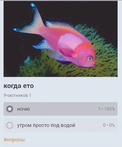 Когда это ночью под водой