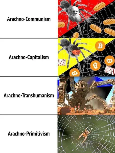 Arachno-Ideology Chart