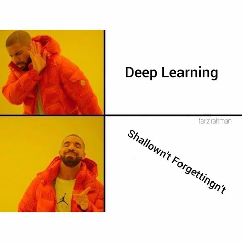 Deep Learning vs Shallow Forgetting