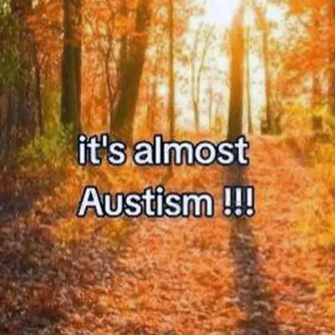 It’s Almost Austism