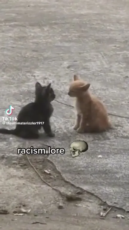 Racism Lore Cats