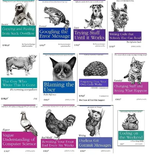 The Essential Software Developer
