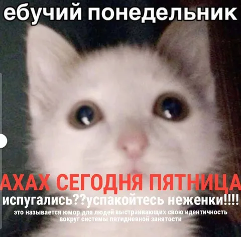 Ебучий понедельник и пятница