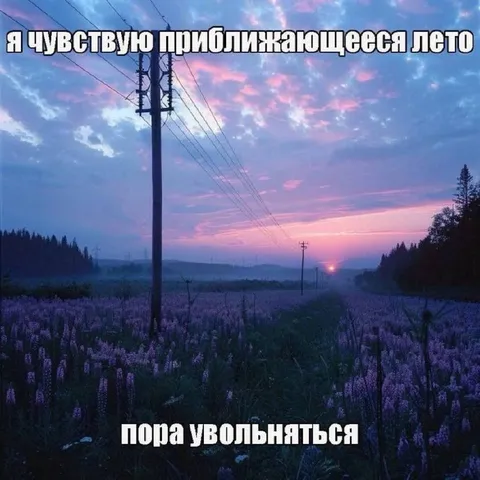 Приближающееся лето и увольнение