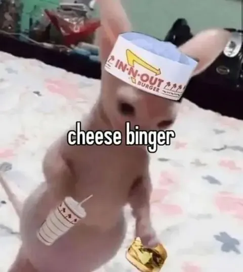 Cheese Binger Bunny