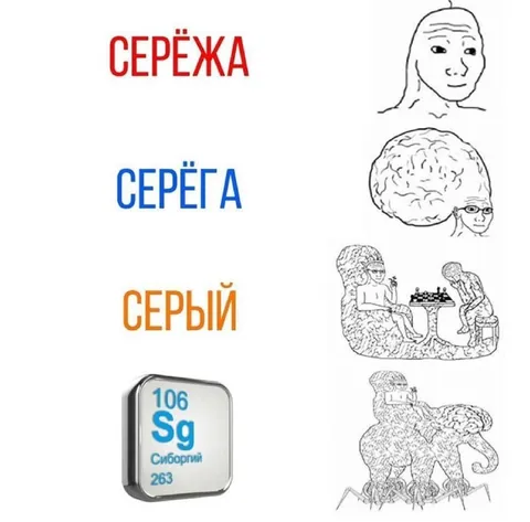 Серёжка — Серый — Сиборгий