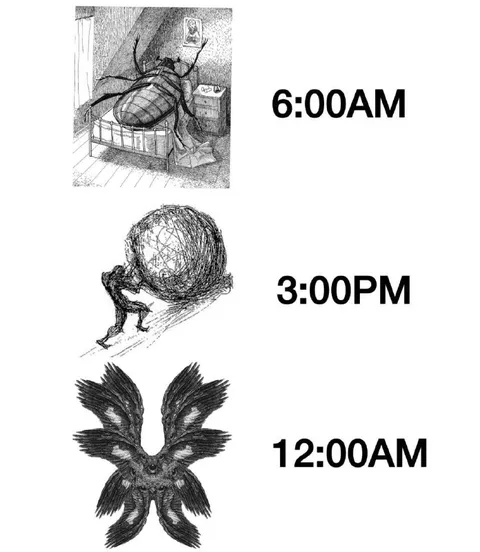 Bug at 6 AM, Sisyphus at 3 PM