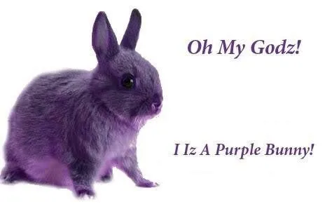 Oh My God Purple Bunny