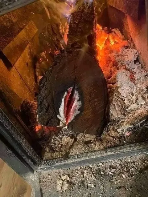 Полено кричит в огне