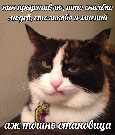 Когда слишком много мнений