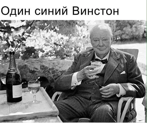 Один синий Винстон
