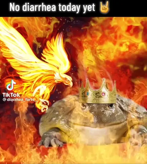 No Diarrhea Today Yet