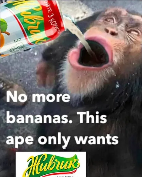 Ape Only Wants Zhivchyk