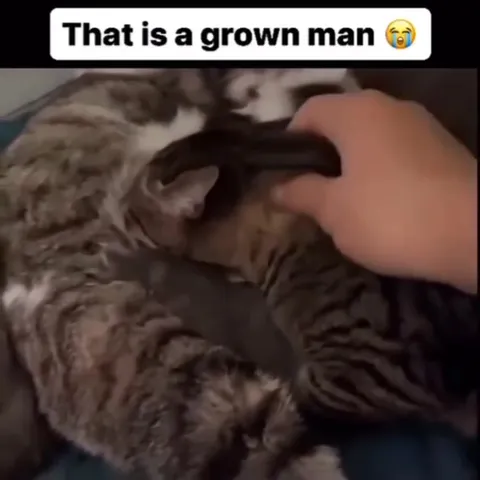 That Is a Grown Man