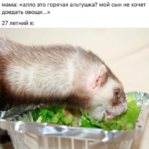 27-летний ест овощи