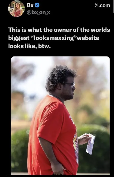 Looksmaxxing Website Owner