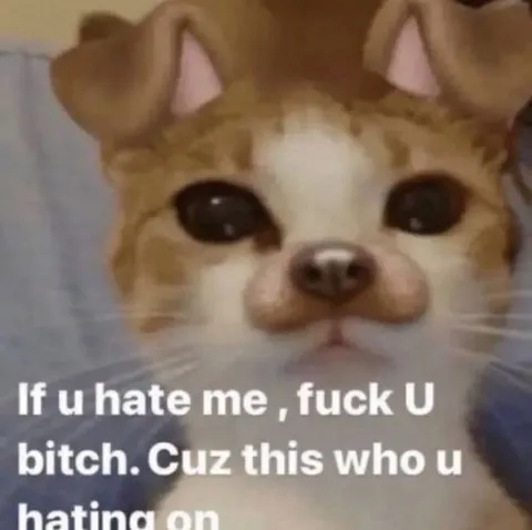 If You Hate Me Cat