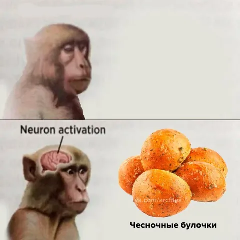 Нейронная активация на булочки