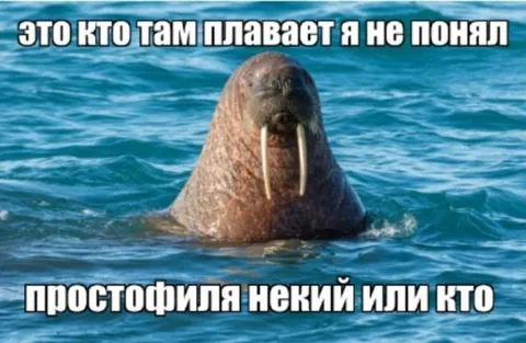 Морж некий или кто