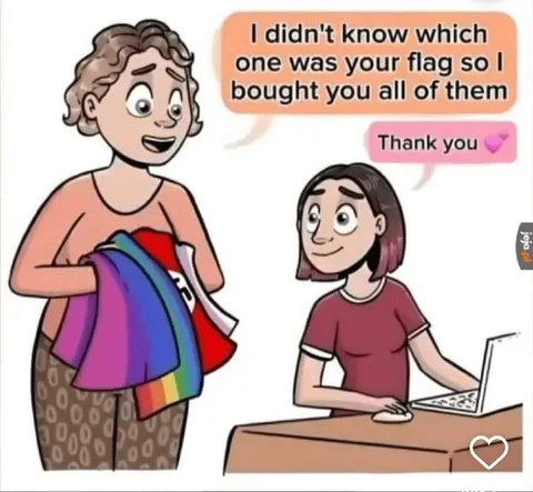 Bought You All the Flags