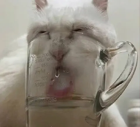 Кот в мерном стакане