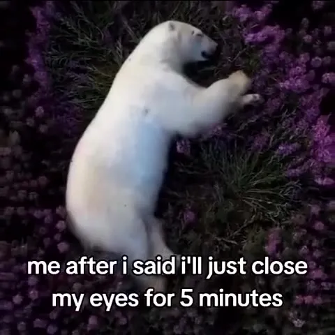 Five Minutes Turns Into a Nap