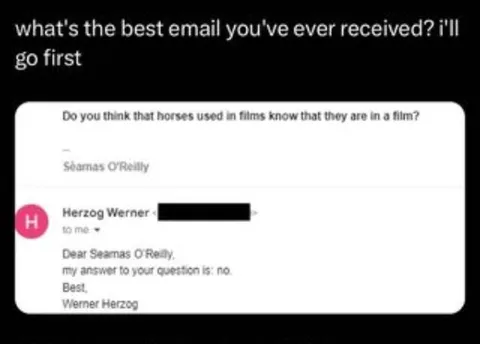 Werner Herzog's Best Email