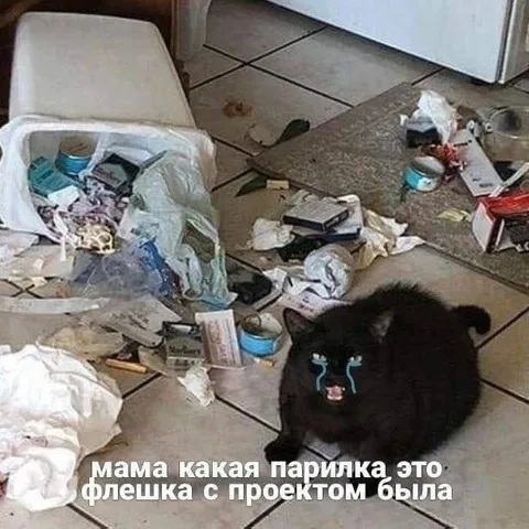 Кот плачет из-за флешки