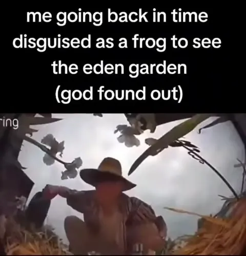 God Caught the Frog Time Traveler