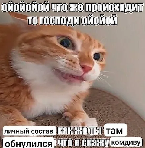 Ойойой что же происходит